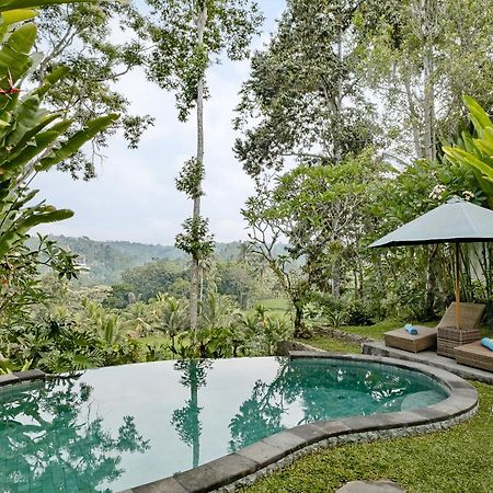 Anandari Ubud Villa 외부 사진